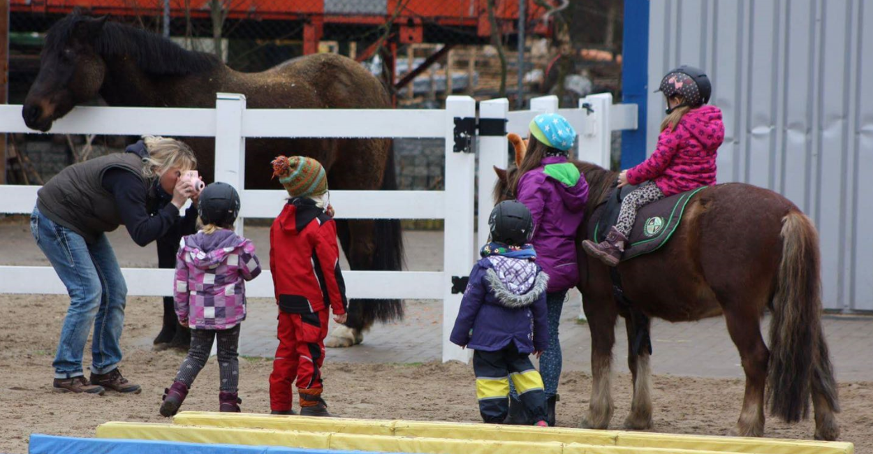 pony-schule-arnum-3